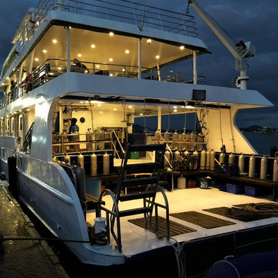 DYKSAFARI - 5 dagar/ 4 nätter - M/V ANDAMAN QUEEN - Similan, Koh Bon, Tachai, Surin, Richelieu Rock (max 14 dyk)