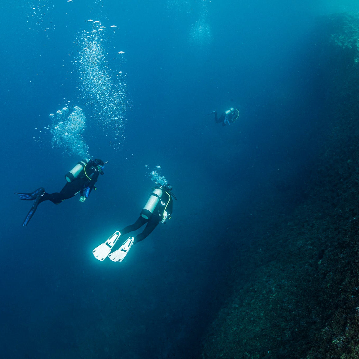 THE WALL DIVE - Diving Trip (from Chania)