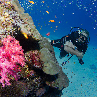 DYKSAFARI - 4 dagar/ 3 nätter - M/V BAVARIA - Similan Islands (max 10 dyk)